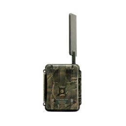 Seissiger Wildkamera Special-Cam LTE - Standardversion