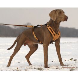Niggeloh Hundegeschirr Mantrailling  S/M
