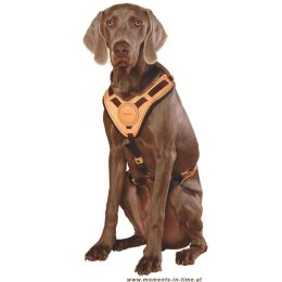 Niggeloh Hundegeschirr Mantrailling  S/M