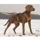 Niggeloh Hundegeschirr Mantrailling  S/M