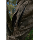 Härkila Herren Hose Forest Hunter GTX Camo Darkwood