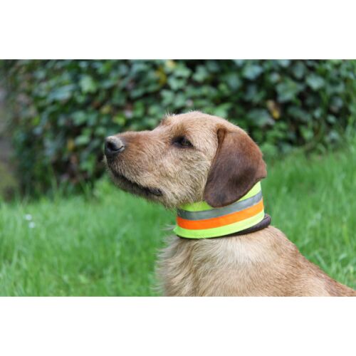 AKAH Hundehalsband reflektierend 55cm