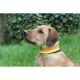 AKAH Hundehalsband reflektierend 55cm