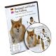 Rottumtaler DVD Reizjagd auf den Fuchs Teil 2 - WInterjagd