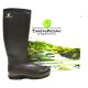 Twelvepointer Forest ISO Lady 41