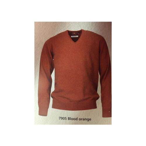 Laksen Pullover V-Ausschnitt blood orange