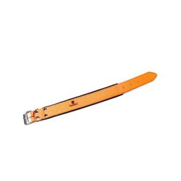 Twelvepointer Hunde Warnhalsung 50 cm