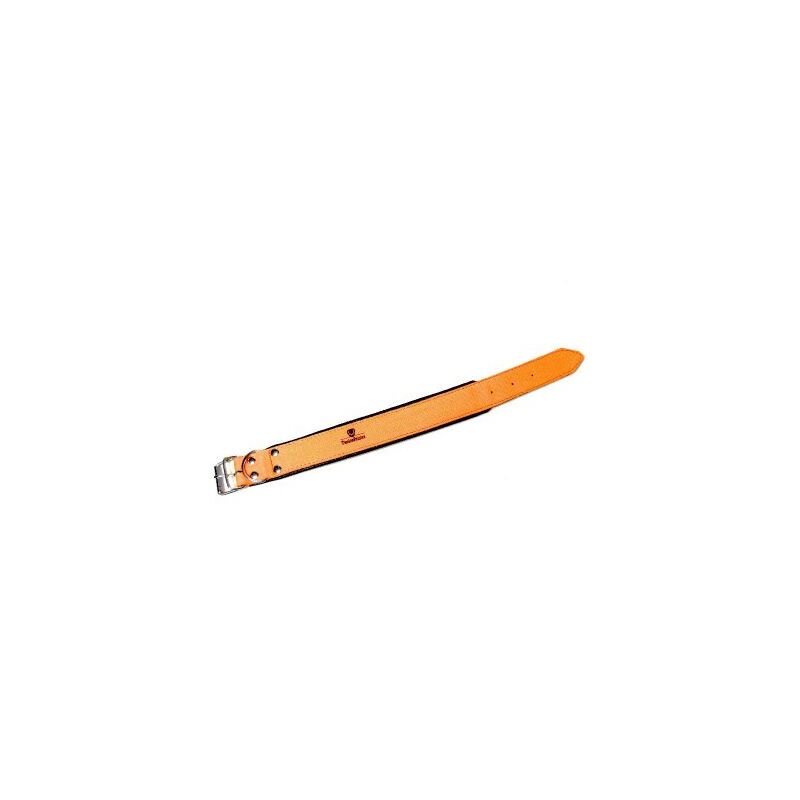 Twelvepointer Hunde Warnhalsung 40-60 cm 60 cm