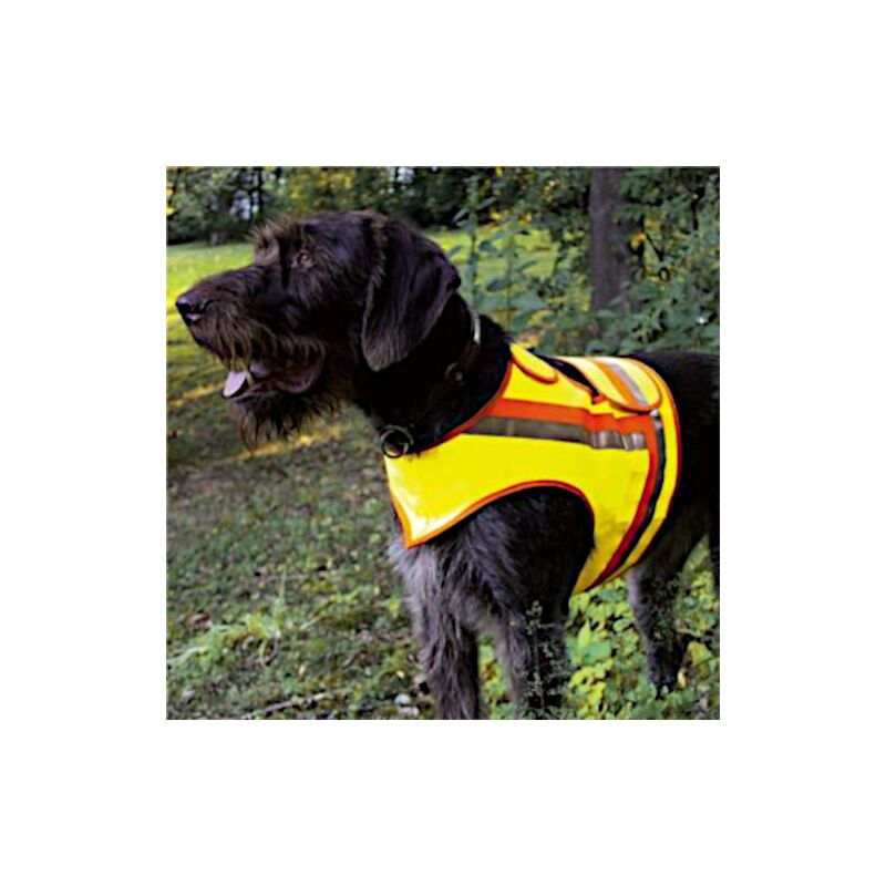 AKAH Reflektorweste für Hunde 2 Terrier