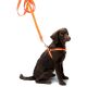 Farm-Land Hundegeschirr orange M