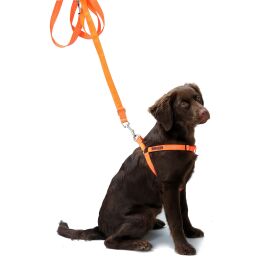 Farm-Land Hundegeschirr orange L