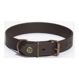Empfehlenswertes Halsband aus Biothane