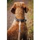 Farm-Land Hunde Halsung Comfort schwarz