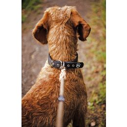 Farm-Land Hunde Halsung Comfort schwarz 40