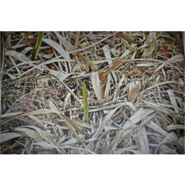 Lockschmiede Camo Tape Tarnklebeband