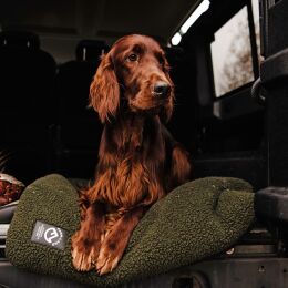 Farm-Land Hundedecke Faserpelz Pro Thermo 70 x 100 cm gr&uuml;n