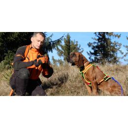 Niggeloh Hundegeschirr Follow Trail M