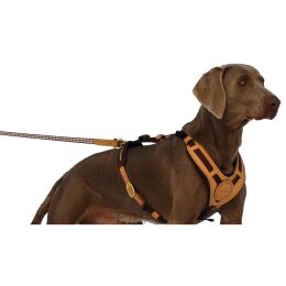 Niggeloh Leine f&uuml;r Hundegeschirr Mantrailling