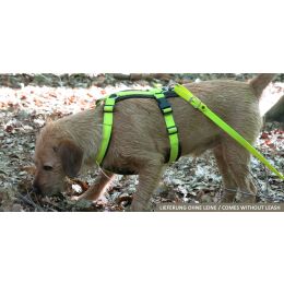 AKAH Hundegeschirr Tracker neongelb S
