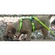 AKAH Hundegeschirr Tracker neongelb S