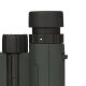 Dörr Fernglas Bussard I 10x25 grün