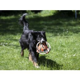 Farm-Land Hunde Frisbee Camo