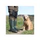 Tracker Neopren Comfort Gummistiefel Dark Olive 43