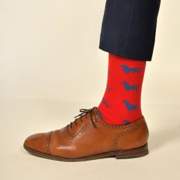 Krawattendackel Damen Socken rot, Dackel blau, Gr&ouml;&szlig;e 36-40