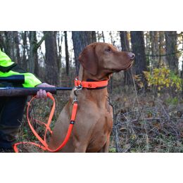 Farm-Land Hunde Schwei&szlig;halsung Signalorange 40-50 cm