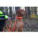 Farm-Land Hunde Schweißhalsung Signalorange 40-50 cm