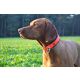 Farm-Land Hunde Schweißhalsung Signalorange 40-50 cm