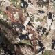 Sitka Herren Jagdjacke Thunderhead Optifade Subalpine L