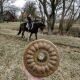Wildlutscher Leckstein für Pferde und Ponys Mariendistelsamen -Allgemeinwohl 1,8 kg