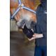 Wildlutscher Leckstein für Pferde und Ponys Carbon Clay - Verdauung & Entschlackung 1,8 kg