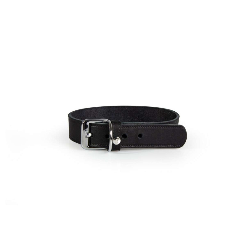 Das Lederband Hundehalsband Weinheim Black B 18 mm / L 37 cm