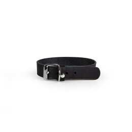 Das Lederband Hundehalsband Weinheim Black B 25 mm / L 47 cm