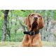 Das Lederband Hundehalsband Weinheim Black B 30 mm / L 52 cm