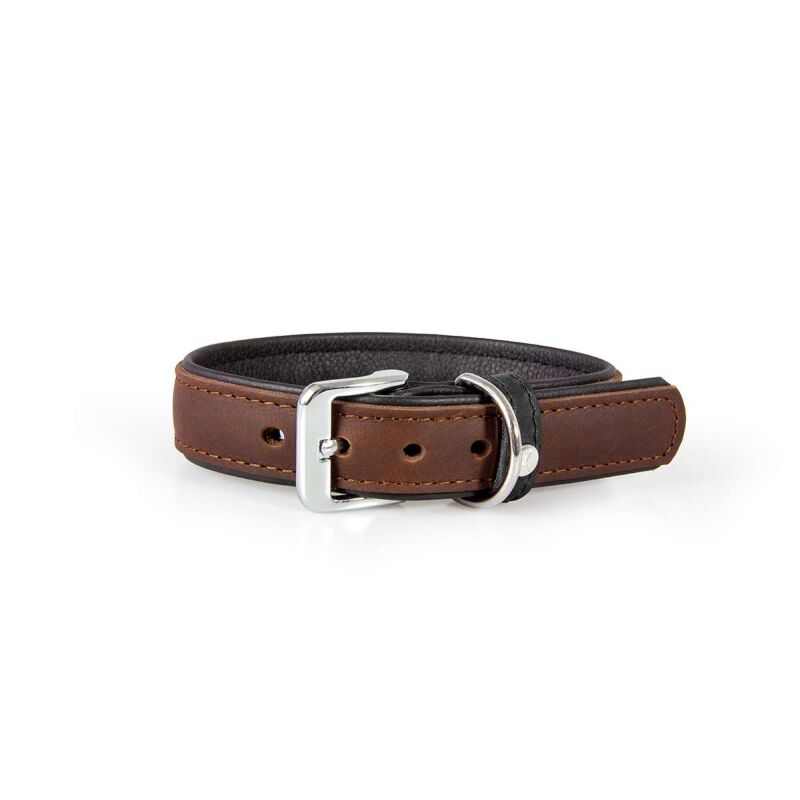 Das Lederband Hundehalsband Vancouver Mocca/Black B 30 mm / L 50 cm