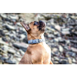Das Lederband Hundehalsband Boston Granite B 35 mm / L 55 cm