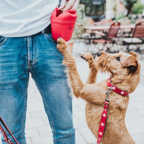 bissfestes hundespielzeug Hundespielzeug, Strapazierfähiges Kauspielzeug Zahnpflege Fellnasenstube main image 0