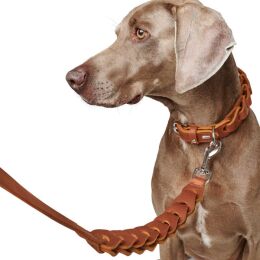 Hunter F&uuml;hrleine Solid Education Chain L 120 cm; B 2,0 cm cognac