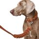 Hunter Führleine Solid Education Chain L 120 cm; B 2,0 cm cognac