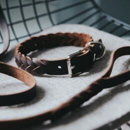 Hunter Halsband Solid Education Special Dunkelbraun 45/S