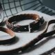 Hunter Halsband Solid Education Special Dunkelbraun 45/S