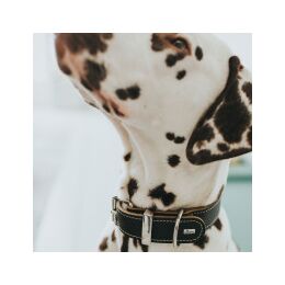 Hunter Halsband Aalborg Special Schwarz 30/XXS-XS