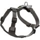 Hunter Geschirr Aalborg Mixed Schwarz/Grau 38-51/XS-S