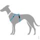 Hunter Geschirr Tripoli Hellblau 41-55/S