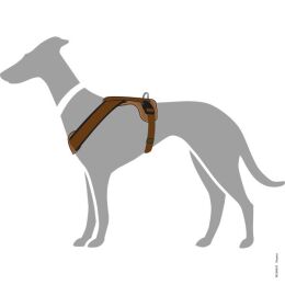 Hunter Geschirr Neopren Braun/Karamell 81-100/L-XL