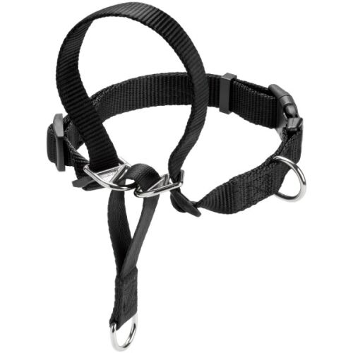 Hunter Ausbildungsgeschirr Follow Me M, 1,5 cm Breite