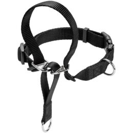 Hunter Ausbildungsgeschirr Follow Me M, 1,5 cm Breite